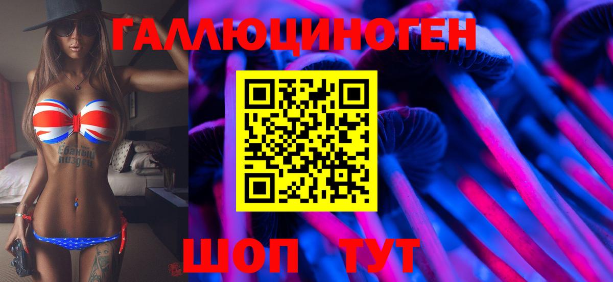 Дагестанские Огни  Псилоцибиновые грибы мицелий  где купить наркоту  Вход с VPN 